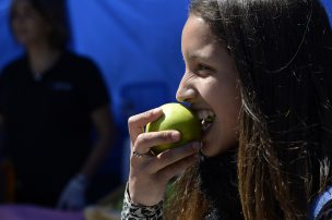 Chile lidera tasa de obesidad femenina en Sudamérica