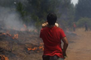 Jornada en llamas: 25 incendios forestales a nivel nacional