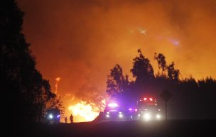 Ascienden a 80 los muertos por incendios en California