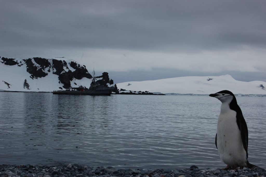 SERNAGEOMIN confirma remoción en masa en Campos de Hielo Sur