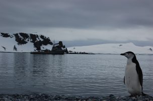 Escuela en la Antártica cerró por deterioro de sus instalaciones en 33 años