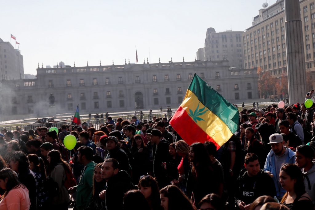Parlamentarios de oposición reimpulsarán despenalización total de la marihuana