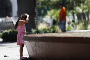 Calor llegó a la RM: Termómetro marcó 33.1 grados en Tiltil