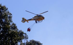 Onemi decretó Alerta Roja para la comuna de Litueche por incendio forestal