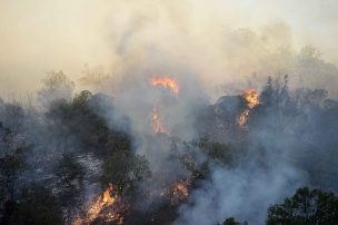 Intendencia informó sobre un incendio forestal en Pudahuel