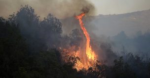 Este año se han registrado un 43% más de incendios forestales que el 2017