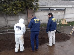 PDI encuentra 10 nuevas esculturas robadas en fundo de Schüler