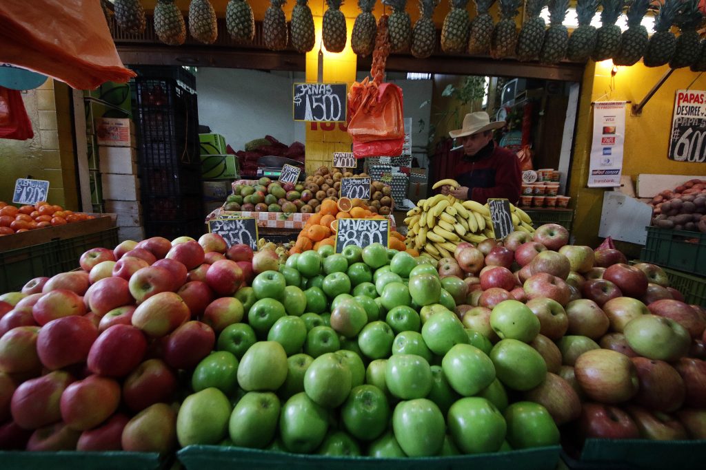 ¿Cuál es la mejor forma de conservar tus alimentos en cuarentena?