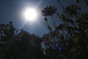 Temperatura en la zona central llegaría a los 35 grados el miércoles.