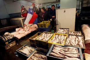U de Chile destacó en olimpiada científica de EEUU con sensor de marea roja