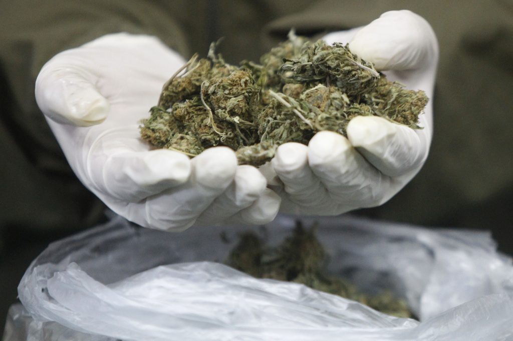 Carabineros ha incautado más de 28 toneladas de droga en lo que va del 2021