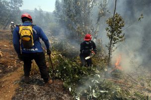 CONAF informa una caída de un 41% en la superficie quemada en incendios forestales