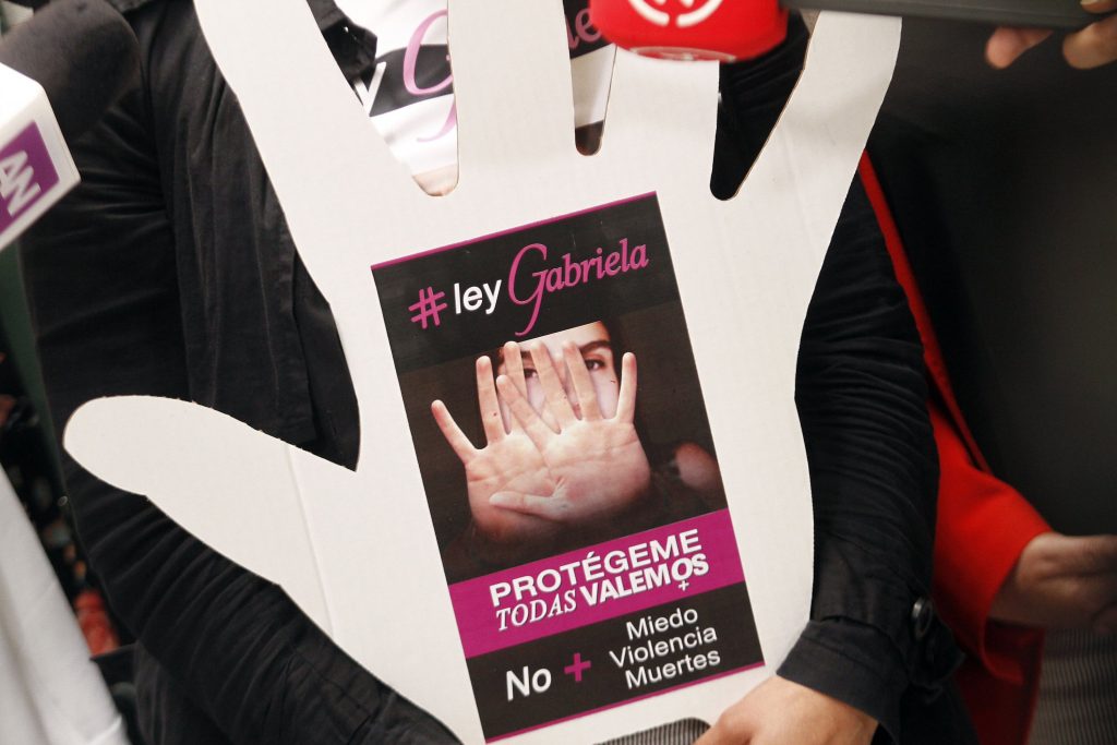 Cámara de Diputados aprobó “Ley Gabriela” que amplía el delito de femicidio