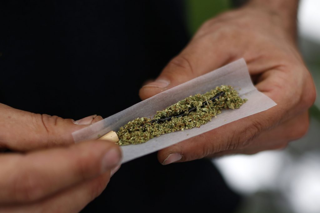 Director de Senda: “Nosotros no vamos a legalizar la marihuana”