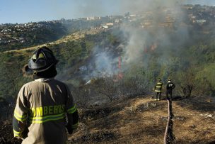 Conaf advierte riesgo de incendios forestales para cinco regiones del país