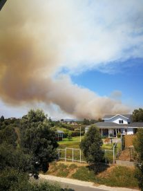 VIDEO: Hay alerta roja por incendio forestal en Mantagua