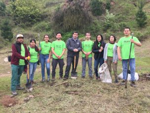 Un 16,5% de los jóvenes chilenos hace voluntariado