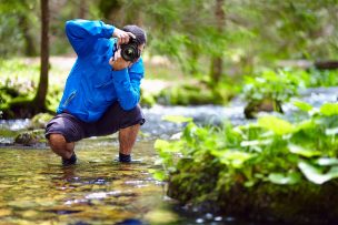 6 opciones para fotografiar en estos meses primaverales