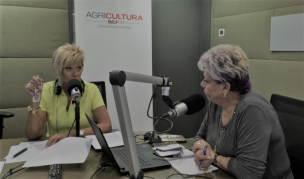 VIDEO | Raquel Argandoña felicitó a Francisco Saavedra por contraer Acuerdo de Unión Civil