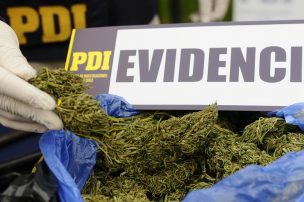 Los Vilos: PDI requisa más de dos kilos de marihuana