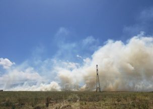 Alerta Roja en Melipilla por incendio forestal que está cercano a sectores poblados