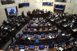 Insólito: Lanzan ratas en sesión del senado en Colombia