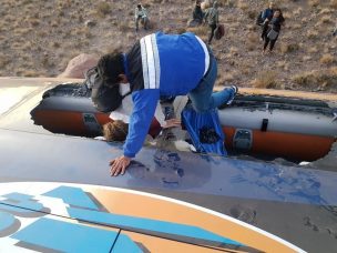 Dramático relato de pasajero que iba a bordo del bus que desbarrancó en Argentina