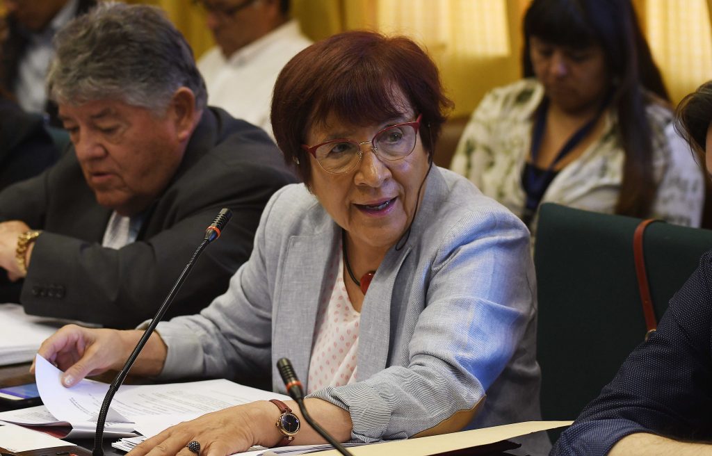 Diputada Hertz arremetió contra proyecto de control preventivo a menores