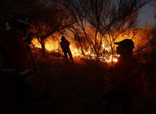 Hay alerta temprana preventiva en la región Metropolitana por amenaza de incendios forestales