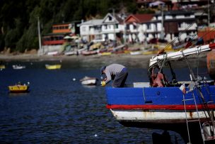 La muerte de arrecifes de coral arrastra al 25% de especies marinas