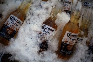 Nuevo empaque de six pack 100% biodegradable protege animales marinos