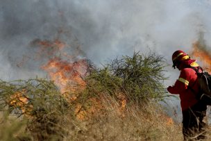 Se mantiene Alerta Roja por incendio en Puchuncaví: ya lleva 320 hectáreas