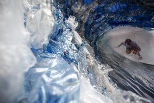 Eligen la palabra del año a nivel mundial: tiene que ver con el medioambiente