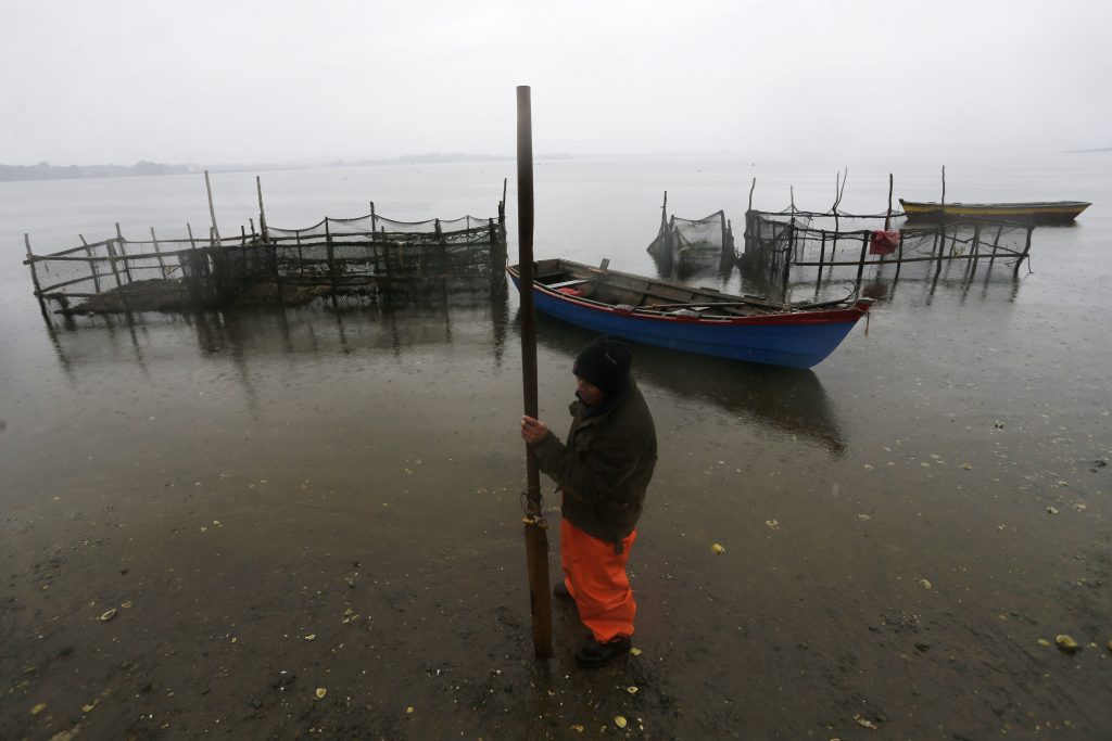 Corte traslada a Valparaíso el caso de vertimiento de salmones en Chiloé