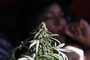 Jóvenes Chile: primeros de América en consumo de cocaína, marihuana y alcohol