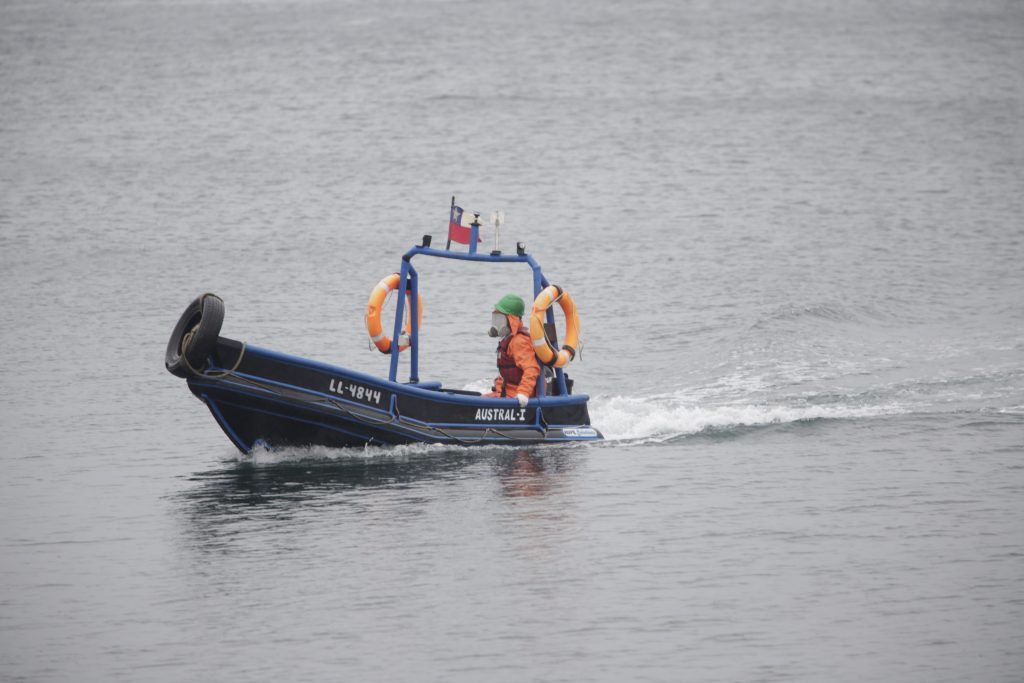 Según Ventisqueros,no se ha verificado fuga de salmones en su cultivo de Quemchi