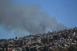 Alerta Roja en Valparaíso por incendio forestal en sector de Placilla