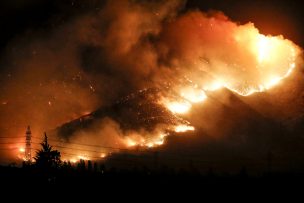 Incendio forestal en la Región de O'Higgins obliga a evacuar sectores de Navidad