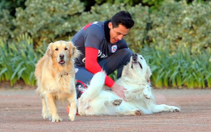 Los perritos de Alexis Sánchez saludaron al crack de la Roja en su cumpleaños