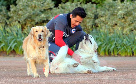 Los perritos de Alexis Sánchez saludaron al crack de la Roja en su cumpleaños