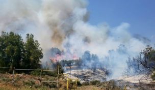 Bomberos y Conaf combaten incendio forestal en sector de Lo Barnechea