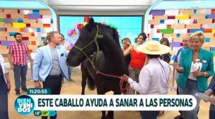 Caballo se defecó en medio de 