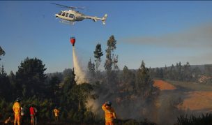 Ministerio de Agricultura llama a la prevención ante incendios forestales