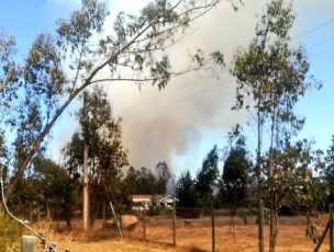 Decretan Alerta Roja para San Antonio por agresivo incendio forestal