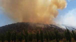 Incendio forestal en Peñaflor mantiene nube de humo sobre Santiago