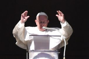 El papa Francisco asegura que 