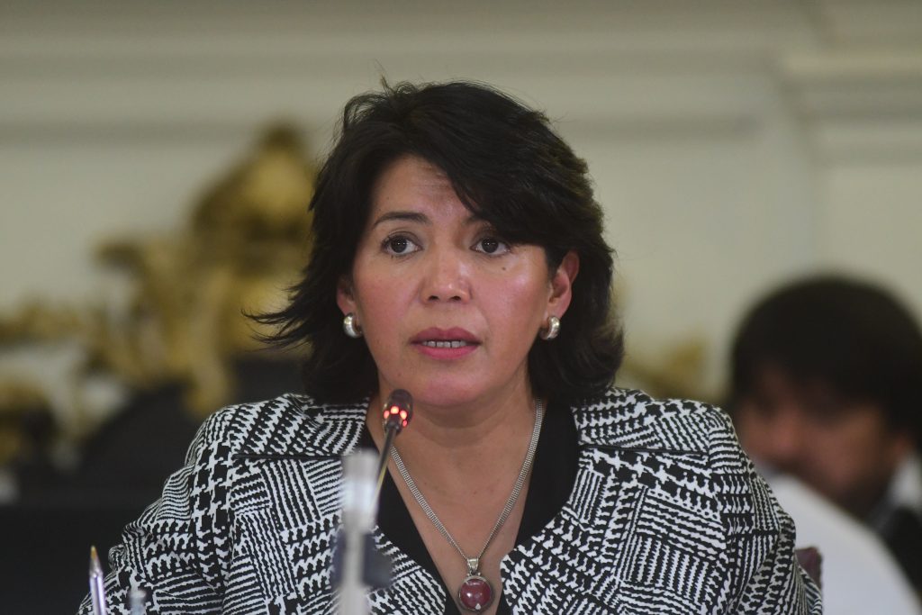 Provoste: “Concebir la educación como industria es concebirla como un negocio”