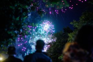 ¿Cuántas personas puedo invitar para celebrar el Año Nuevo?