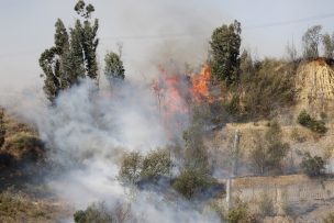 Imagen muestra la zona afectada por los incendios forestales que siguen activos