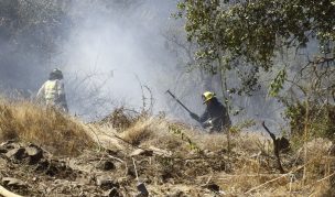 Hombre de 72 años habría ocasionado incendio forestal en Valparaíso